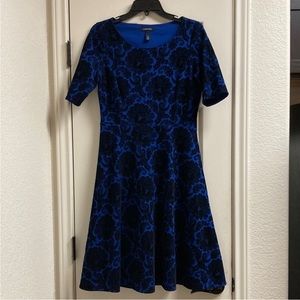 Lands end velvet floral paisley fit and flare dress